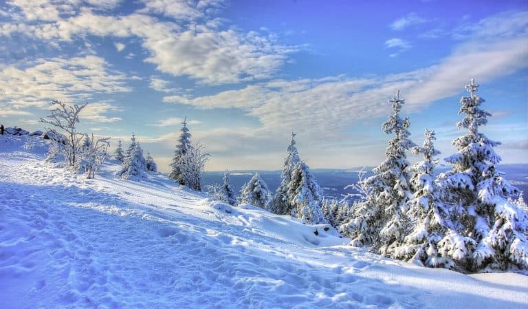 Winter in de Harz
